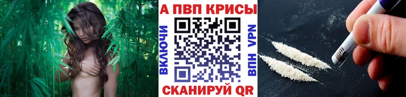 А ПВП СК КРИС Бахчисарай