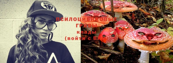 меф Алексин