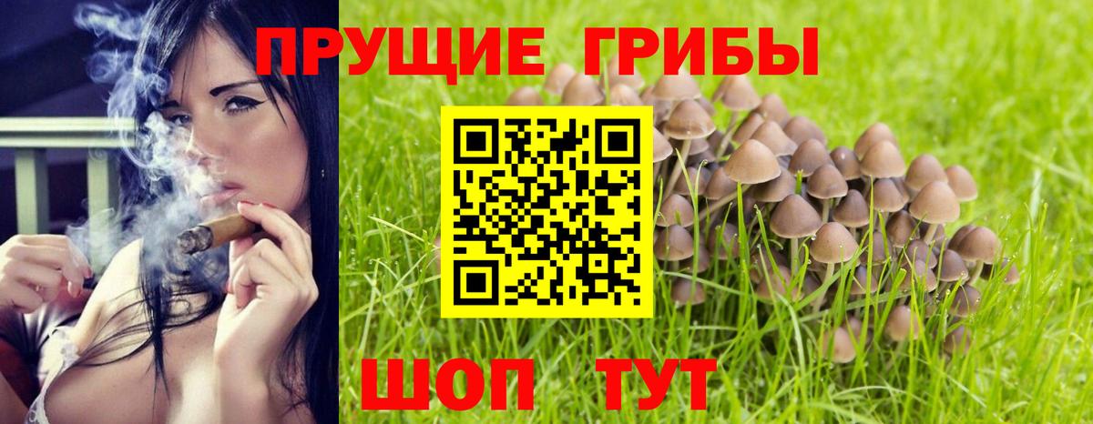 Псилоцибиновые грибы Magic Shrooms Бахчисарай