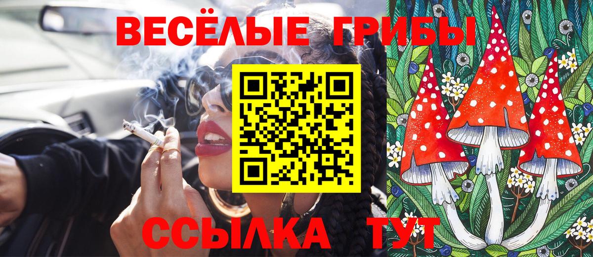 Галлюциногенные грибы Psilocybine cubensis  где купить наркотик  Галлюциногенные грибы мицелий  Бахчисарай  Вход с VPN 